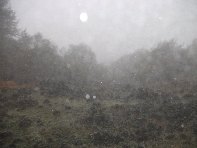 sternazza-20101010 104